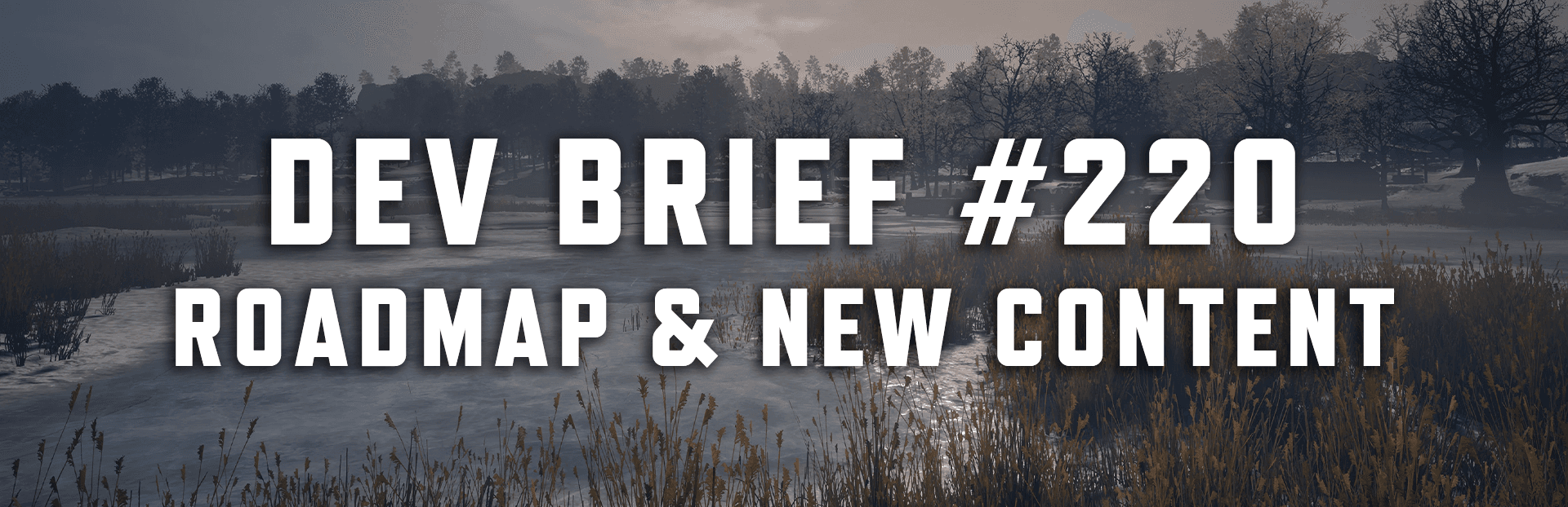Dev Brief #220 | What's Coming Next to Hell Let Loose? image